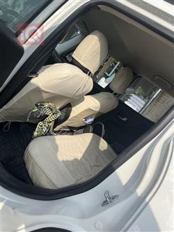 جيب رينيجيد